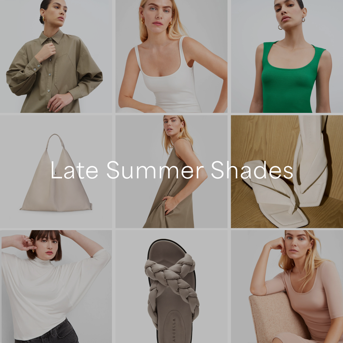 Late Summer Shades